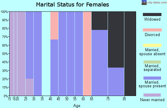 Zip code 56160 marital status for females