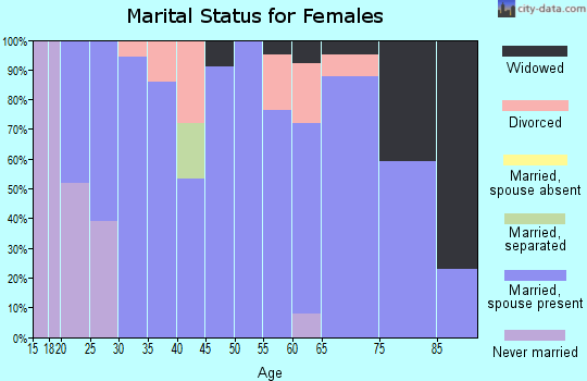 Zip code 56251 marital status for females