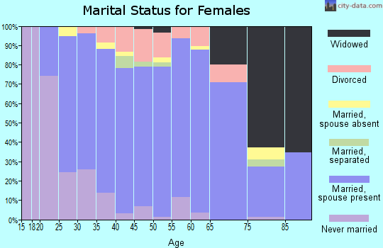Zip code 56312 marital status for females