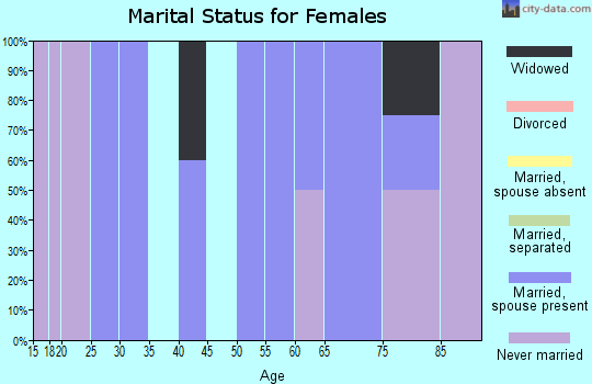 Zip code 56328 marital status for females