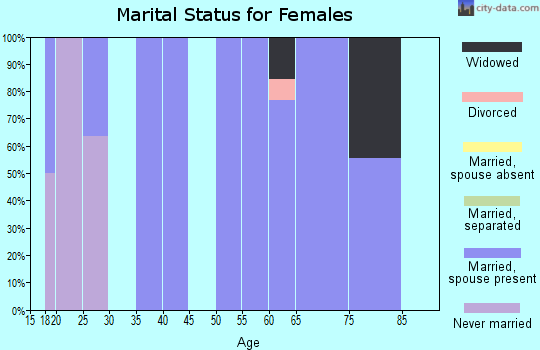 Zip code 56335 marital status for females