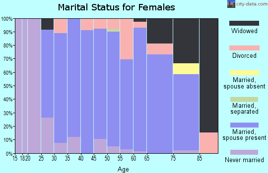 Zip code 56336 marital status for females