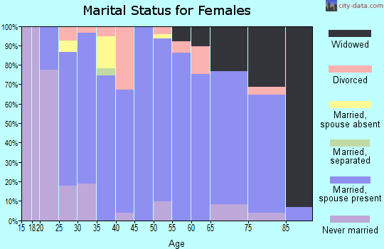 Zip code 56340 marital status for females