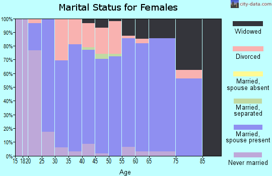 Zip code 56382 marital status for females