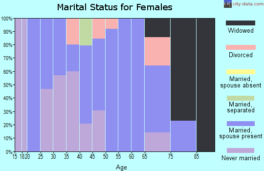 Zip code 56384 marital status for females