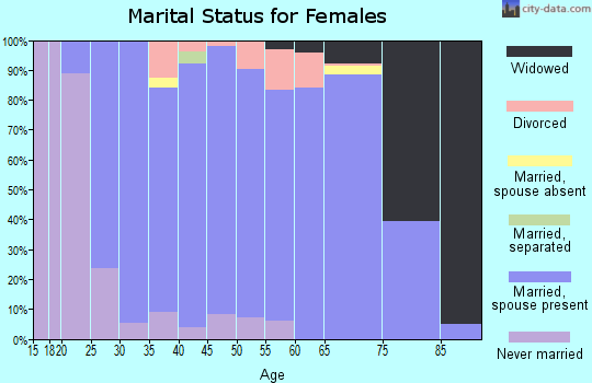 Zip code 56511 marital status for females