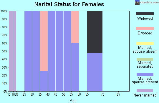 Zip code 56565 marital status for females