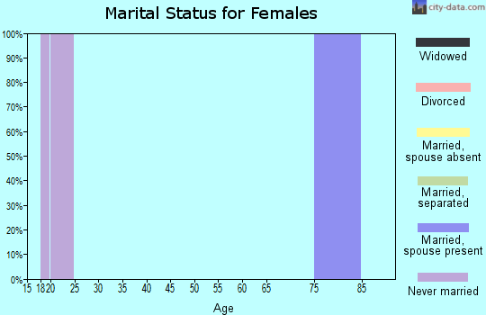 Zip code 57364 marital status for females
