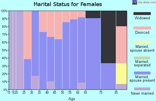 Zip code 57528 marital status for females
