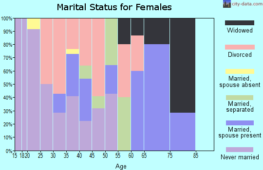 Zip code 58528 marital status for females