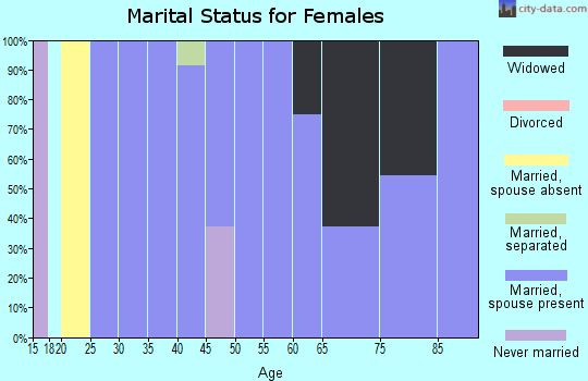 Zip code 60029 marital status for females