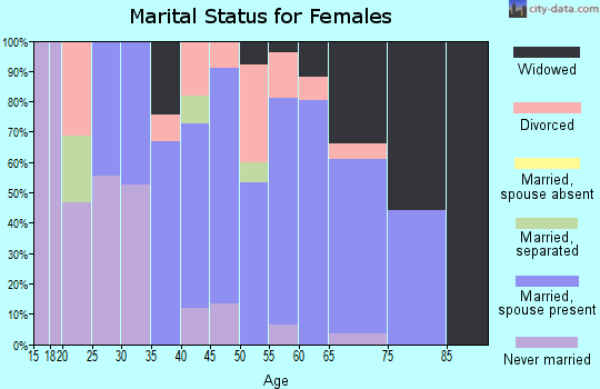 Zip code 60408 marital status for females