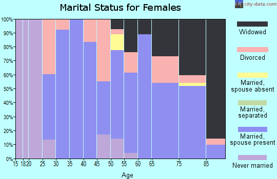 Zip code 60942 marital status for females