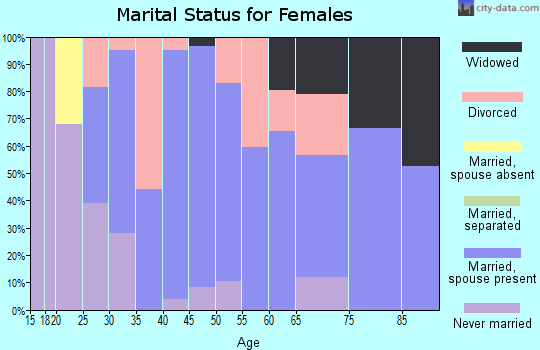 Zip code 61063 marital status for females
