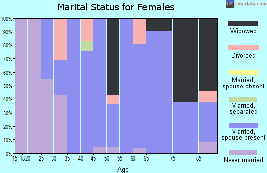 Zip code 61078 marital status for females