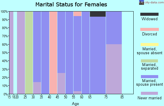 Zip code 62380 marital status for females
