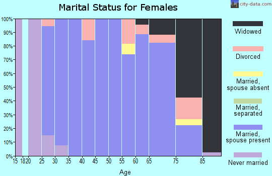 Zip code 62465 marital status for females