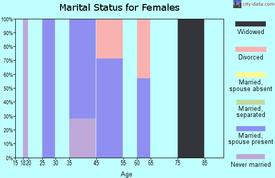 Zip code 62511 marital status for females