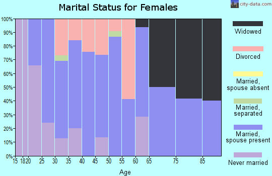 Zip code 62513 marital status for females