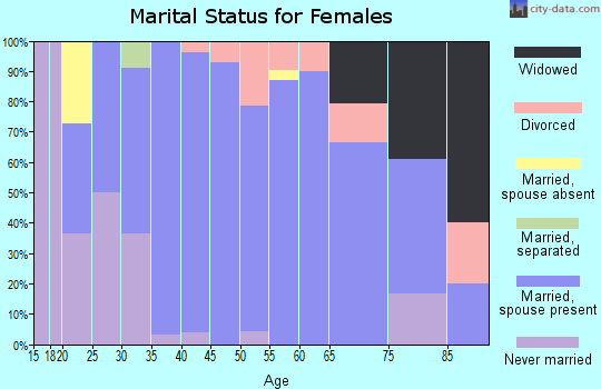 Zip code 62634 marital status for females