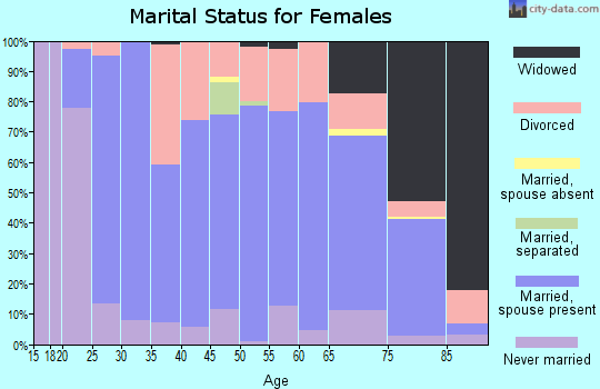 Zip code 62863 marital status for females