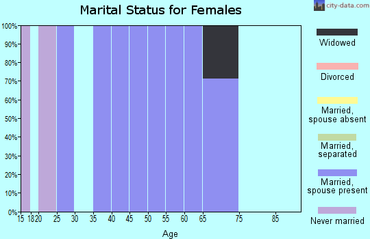 Zip code 62878 marital status for females