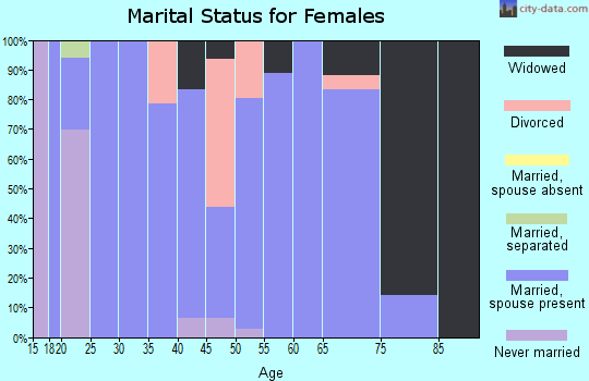 Zip code 63339 marital status for females
