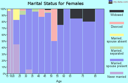 Zip code 63349 marital status for females