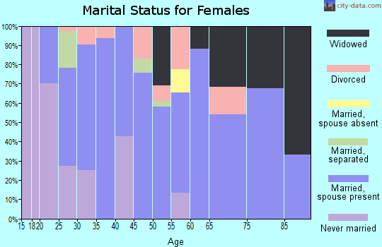 Zip code 63369 marital status for females