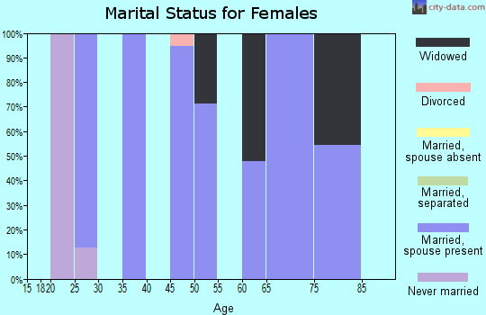 Zip code 63381 marital status for females