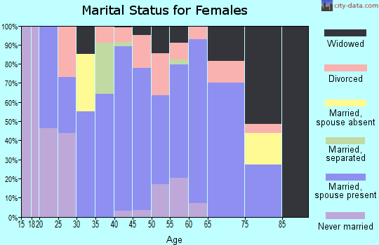 Zip code 63384 marital status for females