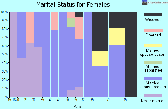 Zip code 63386 marital status for females
