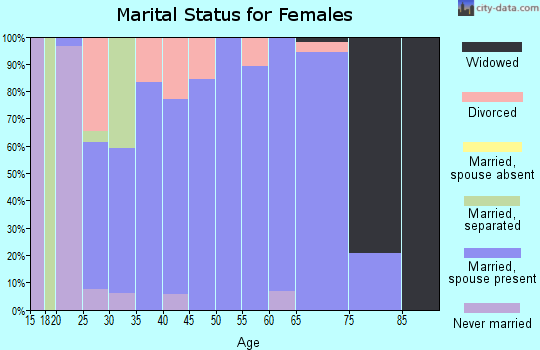 Zip code 63441 marital status for females
