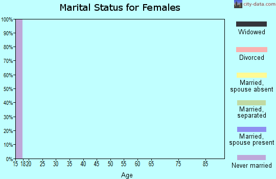Zip code 63738 marital status for females