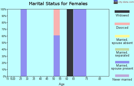 Zip code 63860 marital status for females
