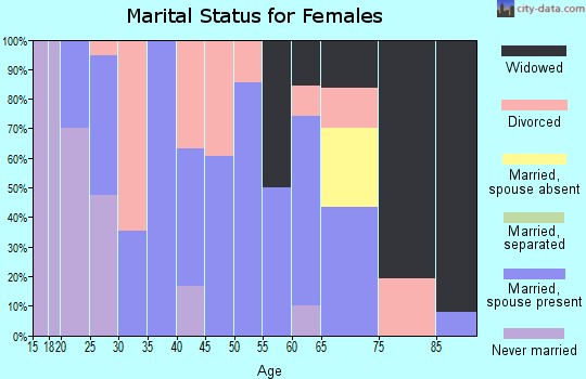 Zip code 63867 marital status for females