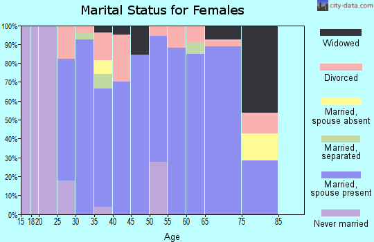Zip code 65025 marital status for females
