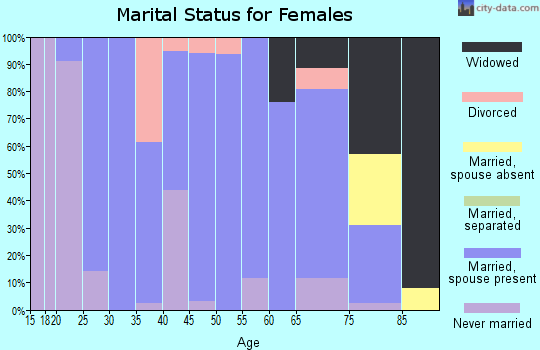 Zip code 65085 marital status for females