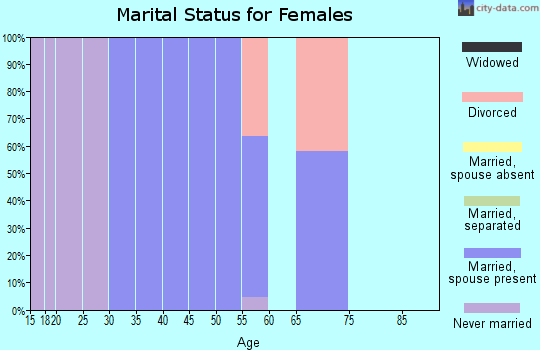 Zip code 65287 marital status for females