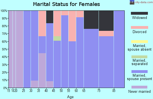 Zip code 65321 marital status for females