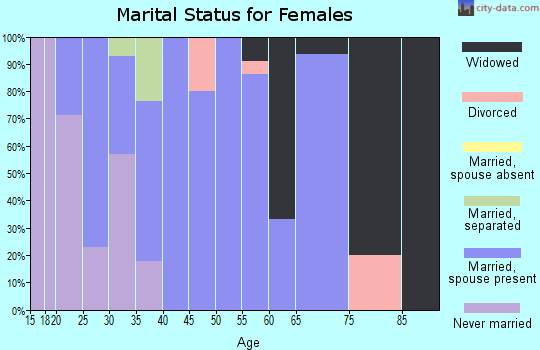 Zip code 65330 marital status for females