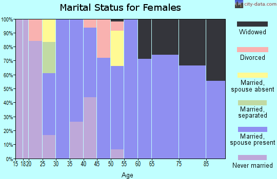 Zip code 65339 marital status for females