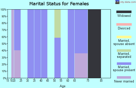 Zip code 65345 marital status for females