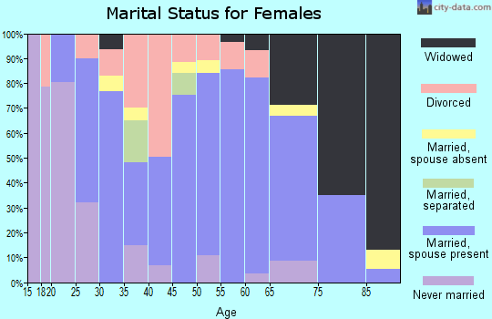 Zip code 65351 marital status for females