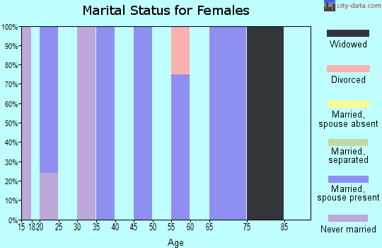 Zip code 70091 marital status for females