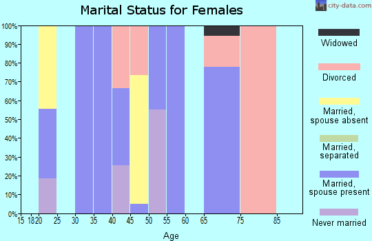 Zip code 71063 marital status for females