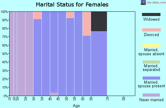 Zip code 73151 marital status for females