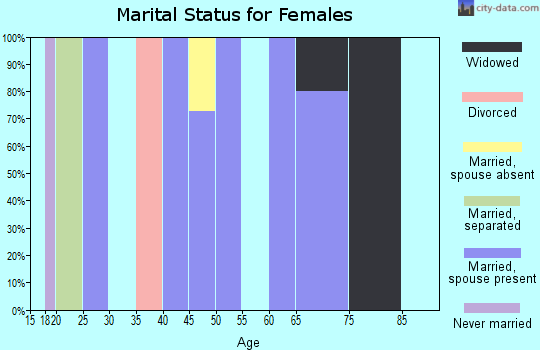 Zip code 73441 marital status for females
