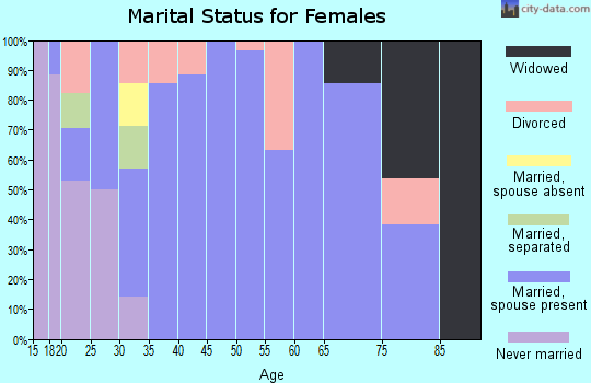Zip code 73528 marital status for females
