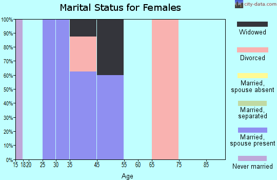 Zip code 73668 marital status for females